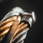 Hercules - Silver / Gold